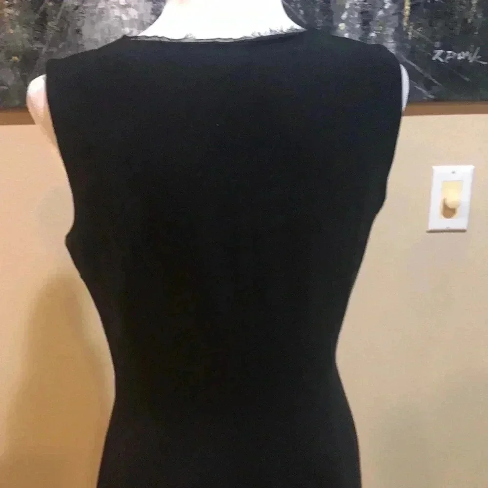 Tahari Sheer Outlined V-Neck Sheath Dress with Side Zipper and Back Slit-Size 6